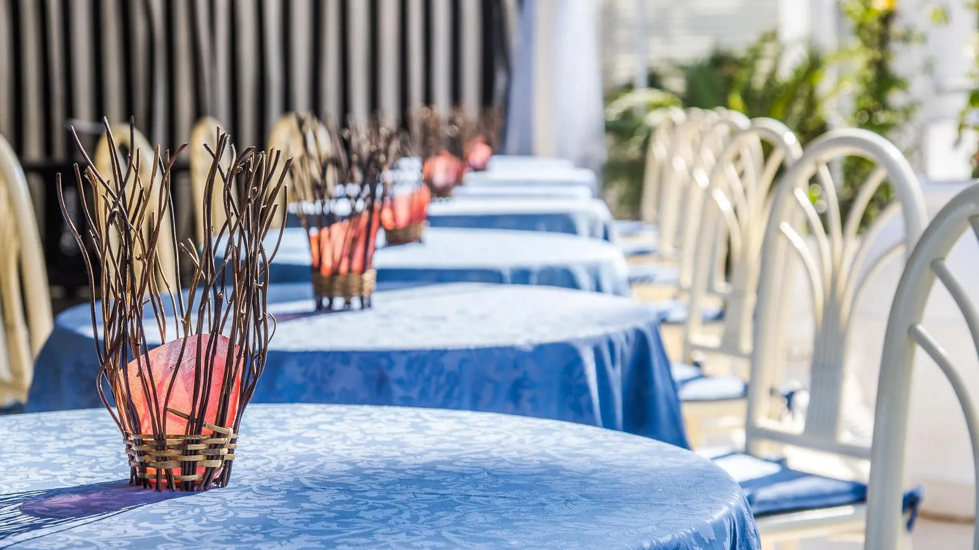 Hotel Diamond Riccione Italy